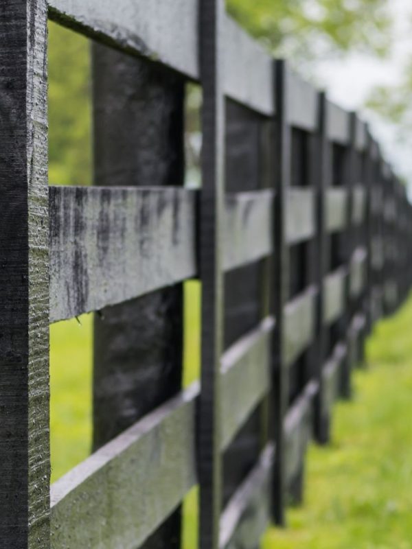 CF-Pros-and-Cons-of-a-Black-Fence CF-Pros-and-Cons-of-a-Black-Fence