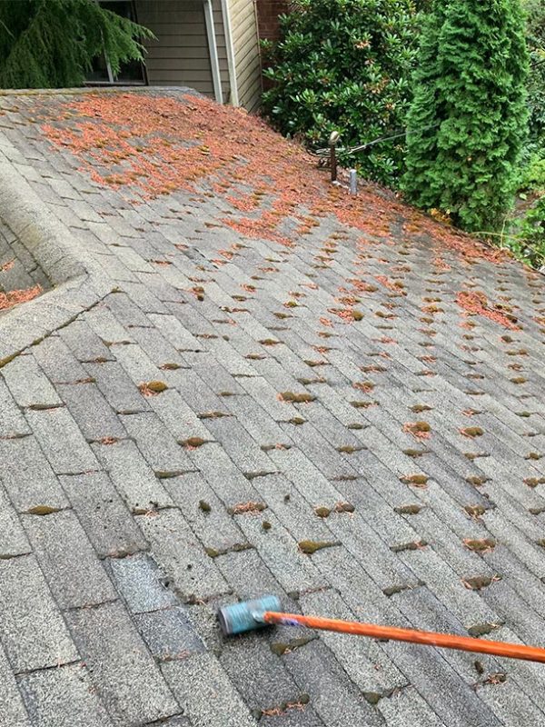 roof-cleaning roof-cleaning