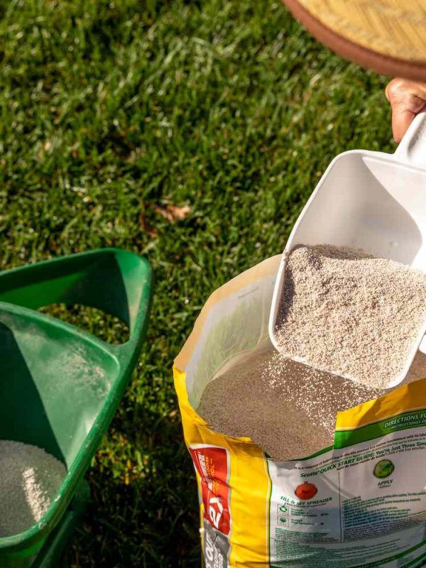 when-to-apply-spring-fertilizer-2152974_01-84d78e89fd714fe39e6c3bfc58ece5f6 when-to-apply-spring-fertilizer-2152974_01-84d78e89fd714fe39e6c3bfc58ece5f6